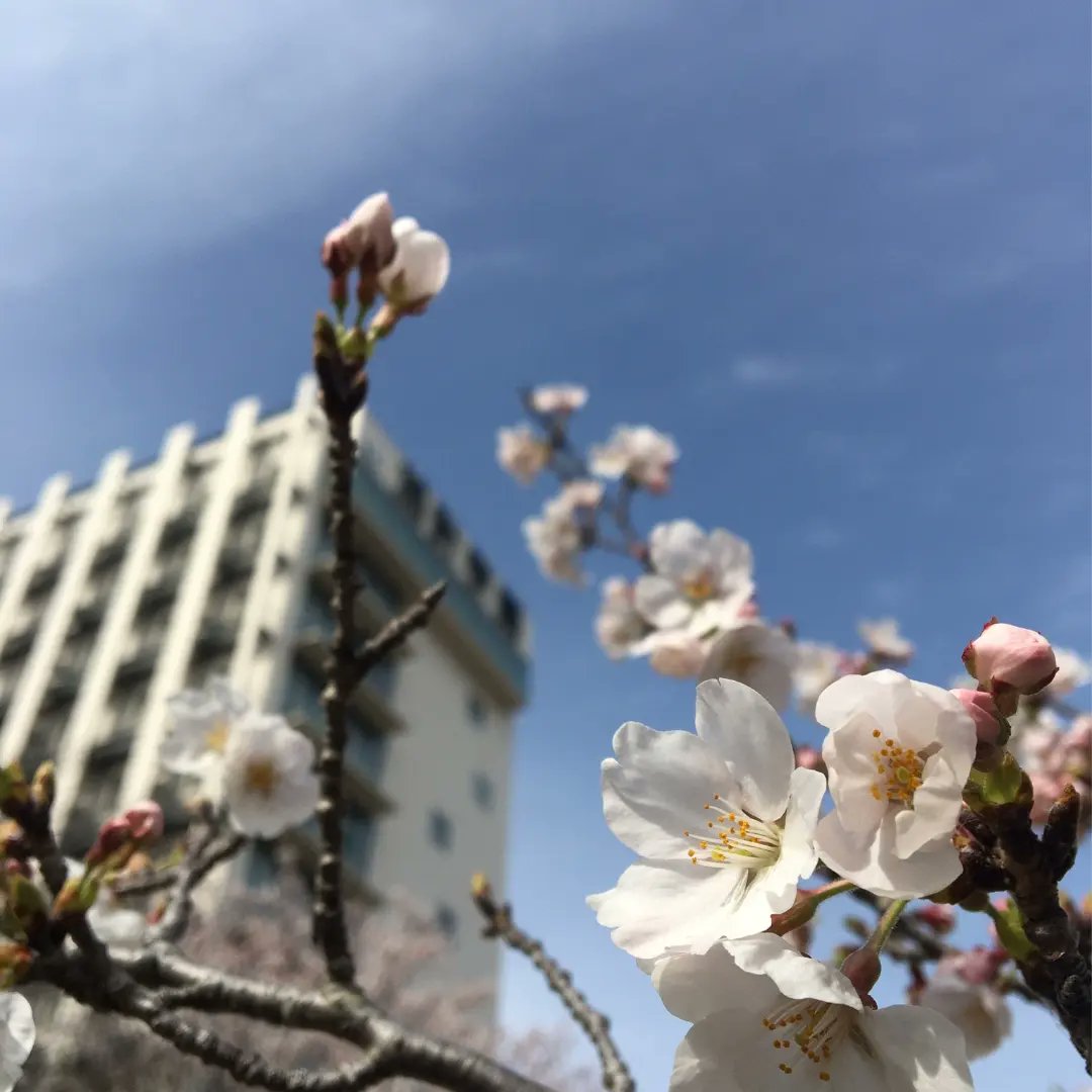 ous_bwe's tweet photo. 新入生の皆さん
ご入学おめでとうございます！
コロナ禍で大変な時期ですが私たちと吹奏楽をしてみませんか？
月曜日と土曜日にミュージックハウスⅠで活動しています！
初心者も大歓迎です！
ぜひ見学に来てください🎶 https://t.co/1mLQZRx15r