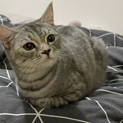 dunmogu's tweet photo. #NewProfilePic https://t.co/NnfRFa9yvf