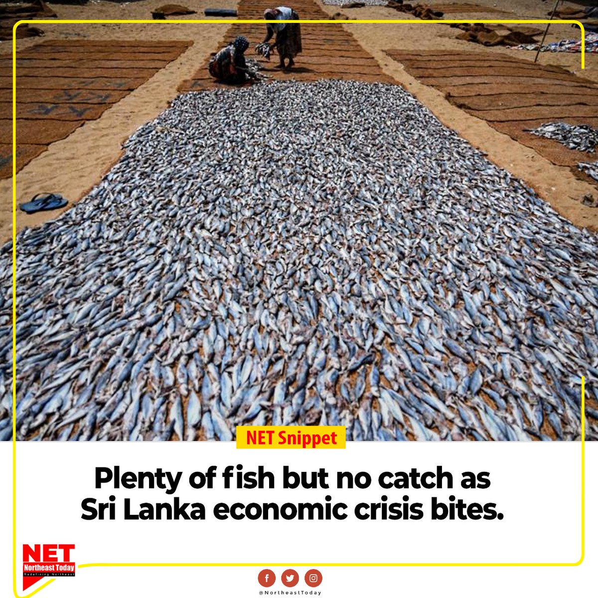NortheastToday's tweet photo. #SouthAsiaNews | The sky and seas off Sri Lanka's coast are crystal blue but a worsening economic crisis has kept fishermen moored at Negombo harbour, out of gas and unable to reel in the day's catch.
#fish #fishcommunity #Negomboharbour #EconomicCrisis #Srilanka #NetSnippet https://t.co/cIMGibbhlM