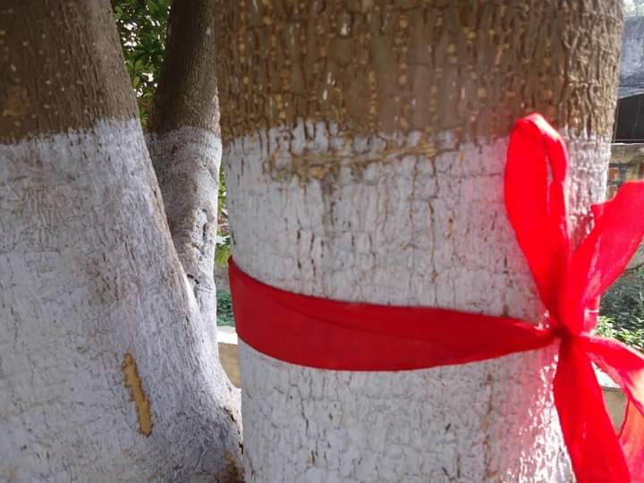 prabhatmisra's tweet photo. Today is #1stApril. #Make1stAprilCoolNotFool.
World is passing through
#6thMassExtinction. #TakeAStepForBetterFuture. Do #plantation, take #CareAfterPlantation, and act #ForNature & #EcosystemRestoration.
https://t.co/sS9qyMHUOG #AprilCoolNotFool
(@ErikSolheim @anshul_tewari) https://t.co/LY0jrc9qW2