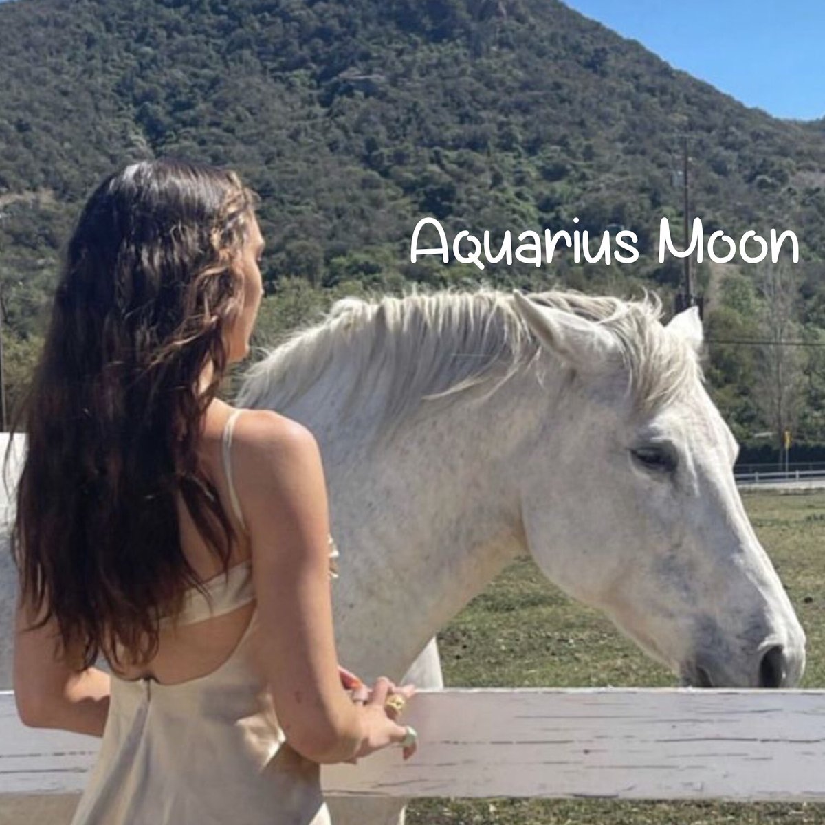 magstrology's tweet photo. Make a spring mood board using your astrological placements https://t.co/U5MRg5ThM7