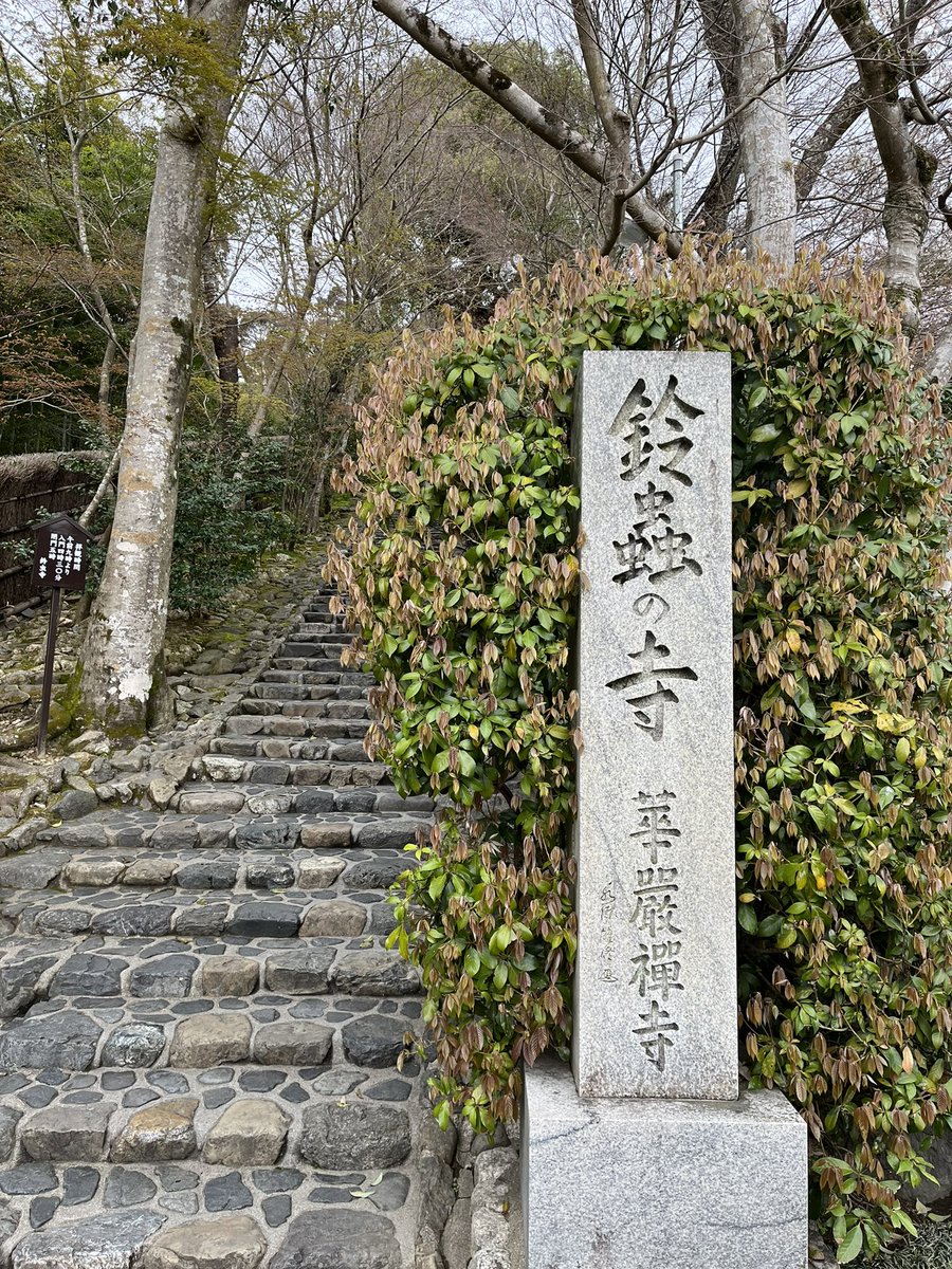 mukadeoyagi's tweet photo. 京都の桜🌸綺麗です👌
#鈴虫寺🇯🇵 https://t.co/biXZZxTaJ4