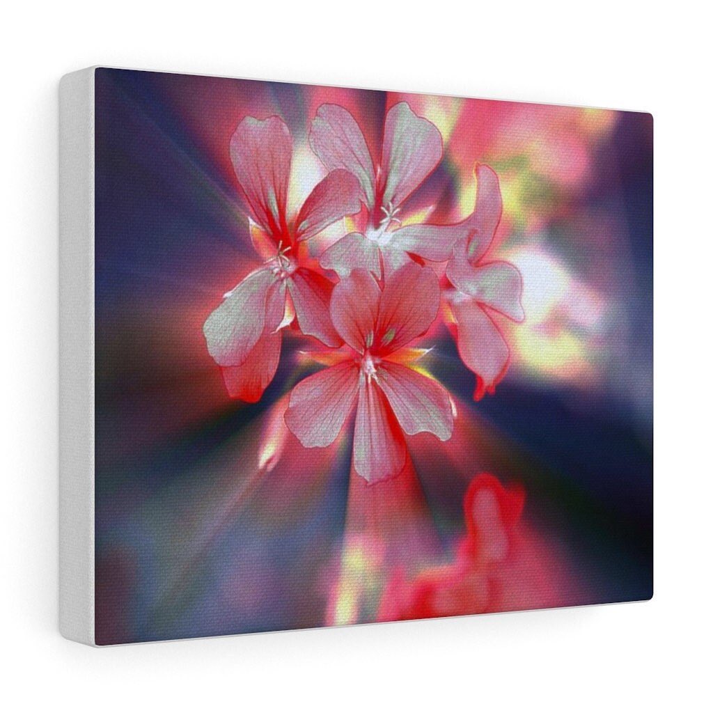 EarthInCanvas's tweet photo. Excited to share this item from my #etsy shop: Incredible Luminescent Flower Art Canvas Gallery Wrap #flowerart #flowercanvas #pinkflowers #canvas #gallerywrap https://t.co/JiWG1bHBnH https://t.co/0OHCjkYfOy