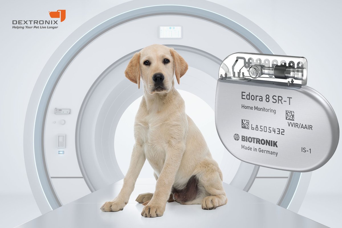 If you are operating a Veterinary Interventional Cardiology Service, here is your chance to stock up from the tech leader in Cardiac Rhythm Management. 
Use Code: PETPACER10 and SAVE 10% Now! On All Pacemaker CRM Products ! 
dextronix.com/all-products/