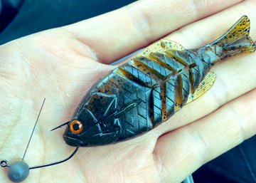 一誠 ギルフラット Jr のインプレ 立つ の姿勢でバスの捕食スイッチをロックオン 人気の釣れる釣り具はこれ 爆釣必須の道具選び