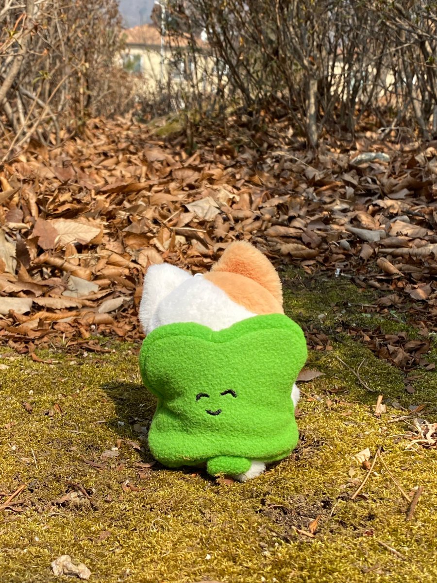 encat_z's tweet photo. 🍀 4월의 행운 배달원 양짱냥 군 🍀 https://t.co/uCTzteC5tu