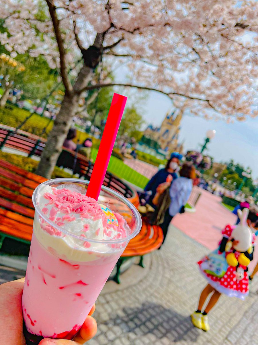 Dis_fumiyaaa's tweet photo. パークにも出会いと別れの季節が来てました🌸

新社会人の皆様、ご入社おめでとうございます🎉

多分環境の変化とかで最初は大変だと思うけどまずは選考に落ちてしまった人達もいる中で「その仕事が出来る」という幸せに気づいて自分の素晴らしさに気づいて胸張って楽しんで見て✌

#disney #さくら https://t.co/5xQjDJ8Sj3