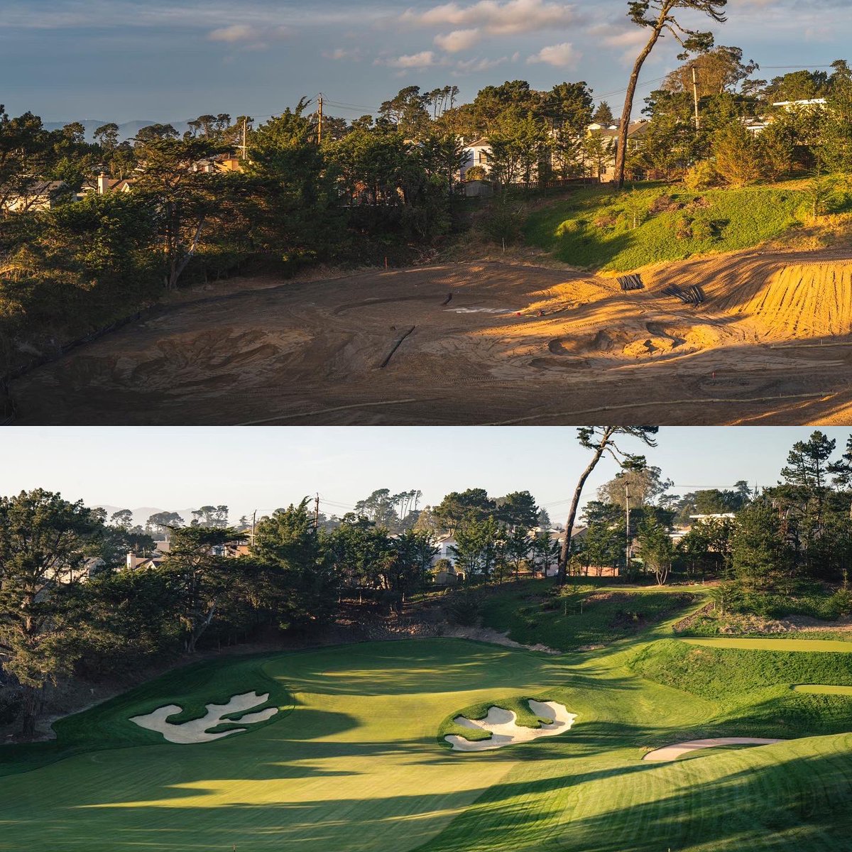 TheGolfHawk tweet media