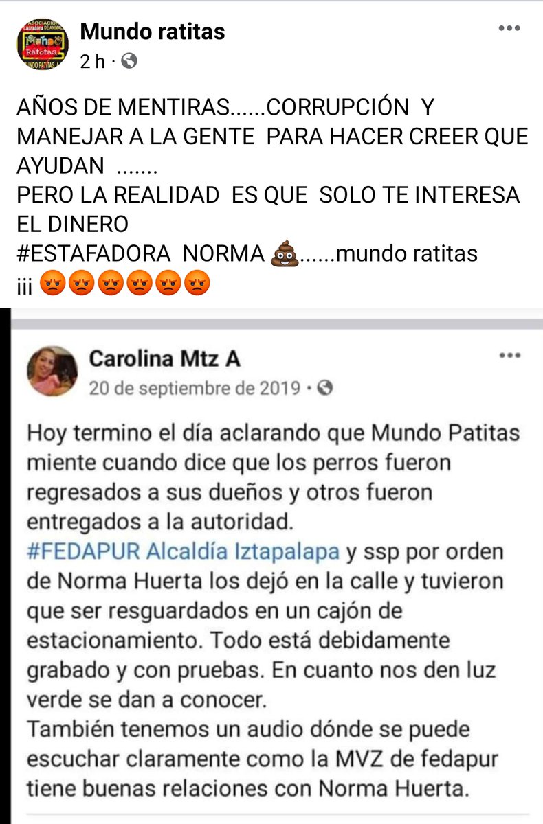 Caruza5's tweet photo. Ya no es nuevo saber de las estafas de #mundofarzitas mundo patitas y la estafadora  de NORMA HUERTA https://t.co/6YexIvgcMx
