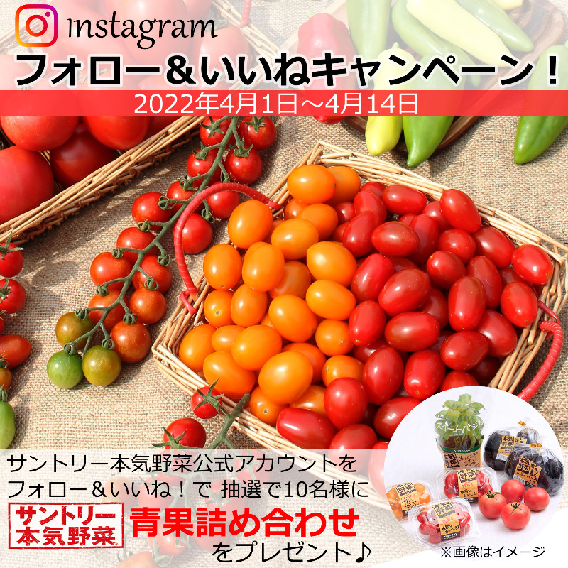 Suntory サントリー サントリー本気野菜 Instagram開設 本気野菜の情報をお伝えする Instagramがスタート フォロー Amp いいねをしてくれた方から 抽選で本気野菜の青果詰め合わせをプレゼント ガーデニング や 家庭菜園初心者 から