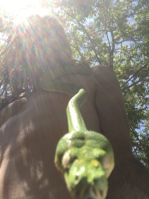 Snakes have always called to me. Their fluidity and their sensuality really piques me. Snake is one of<a href="/tag/nudist"class="tags"><span>#nudist</span></a><a href="/tag/naturist"class="tags"><span>#naturist</span></a>