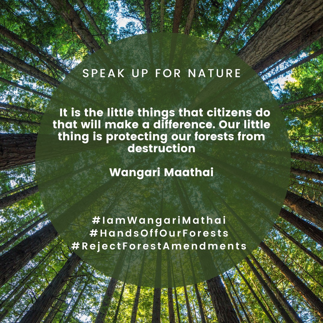 NdonoPhyllis's tweet photo. Mama Wangari said, if you do not raise your voice,your environmentalism means nothing! As we celebrate Mama let us hold @StateHouseKenya accountable so that we do not lose our 1.7% Forest Cover.
@MathaiWanjira #handsoffourforests
#iamwangarimaathai
#rejectforestammendments https://t.co/oo1uIZ0HLt