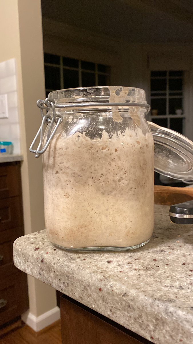 EnglishLabDad's tweet image. I took a break from sourdough bread and was curious what would happen to my starter if I just stopped feeding it. A few times I let it go a week without and it recovered fine. Hit a busy patch and left it for over two weeks. Will need to start over:
