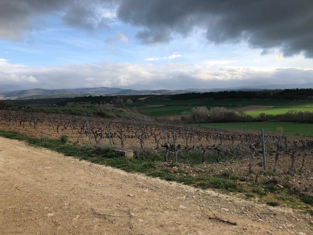 Bespoke Drinks Media tweet media