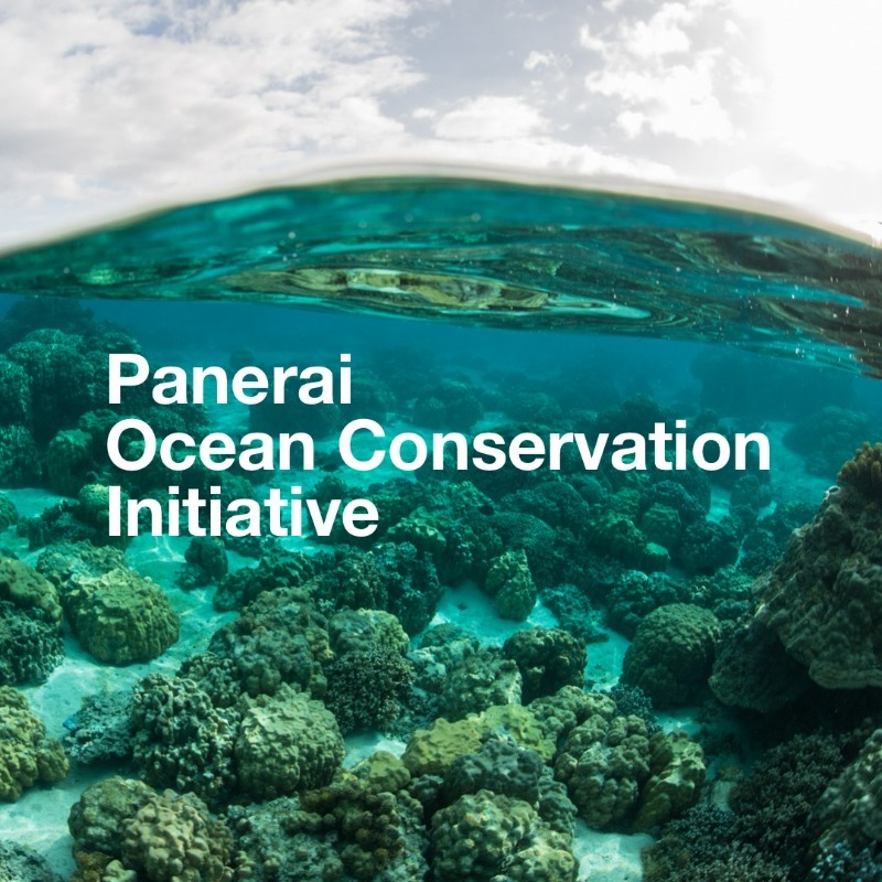 Panerai is proud to announce “Panerai Ocean Consevation Initiative”, a worldwide educational program within 100 universities in the world developed in partnership with IOC-UNESCO in the framework of the Ocean Literacy program of the Ocean Decade.

#PaneraiEcologico