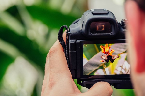 BromleyAdultEd's tweet photo. We'd like to thank Beckenham Photographic Society for hosting a special evening where current NCFE Level 3 Photography learners showed thier work and 3 ex BAEC learners spoke about what they've done since studying. Thanks to all, links to those who spoke in further tweets. https://t.co/m5OJ1FqunY