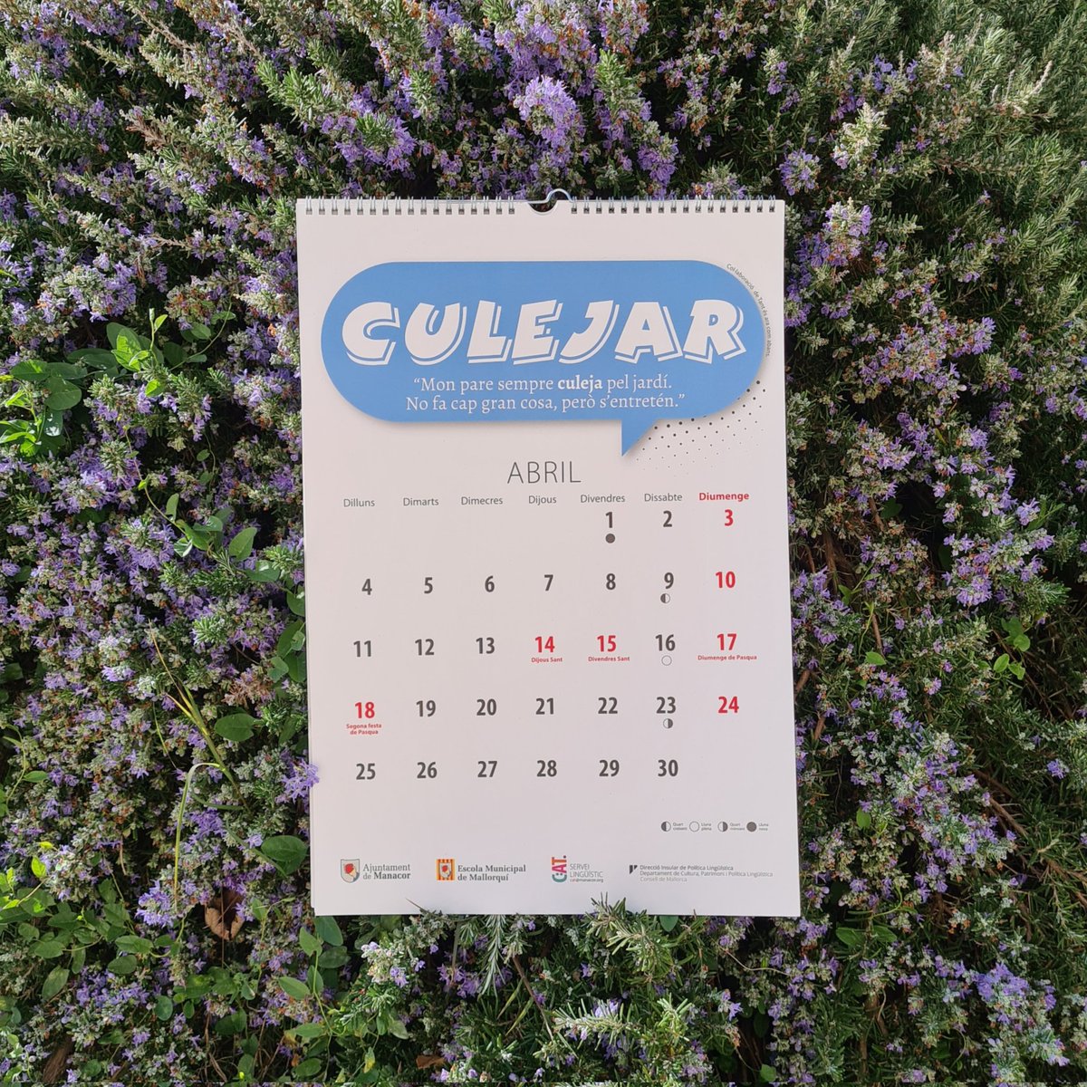 💬 𝙲𝚞𝚕𝚎𝚓𝚊𝚛

"Mon pare sempre culeja pel jardí.
No fa cap gran cosa, però s'entretén."

#EscolaMunicipalMallorquí #LlenguaCatalana #Culejar