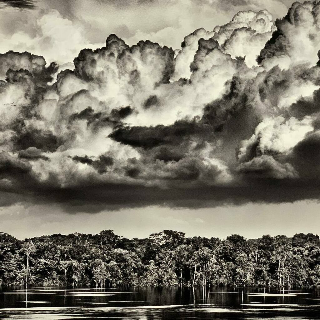 Foundation_AFAD's tweet photo. le photographe Sebastião Salgado investit  un pavillon sensorial et monumental en bambou en plein milieu du parvis de la défense . Son travail à travers cette installation prend une resonance artistique et humaniste incroyable pour la defense de cet elem… https://t.co/K50cv1eeQp https://t.co/PYG2svh9LL