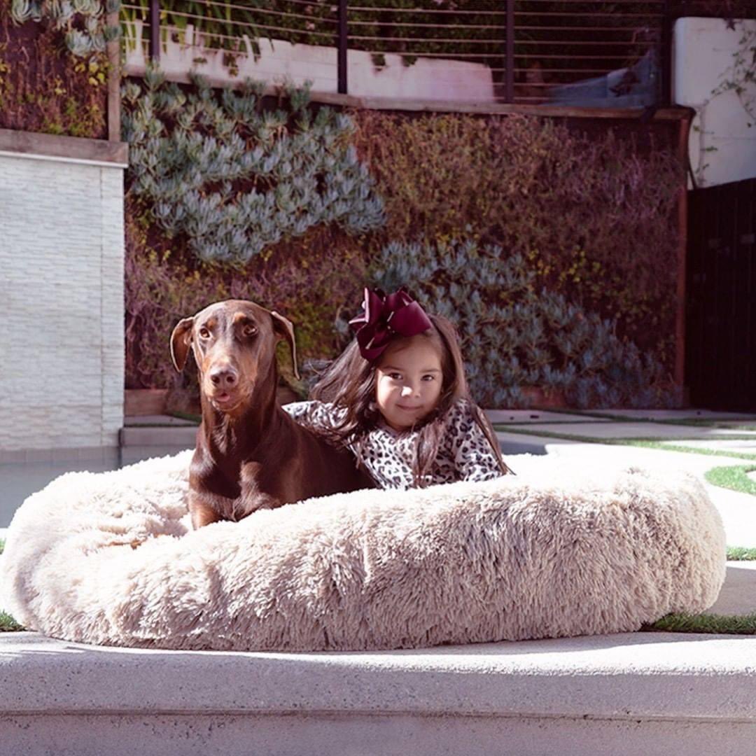 AcademyPaw's tweet photo. "Relaxing with my best friend."

Nothing better than calming dog bed! 
USA Company 
The Calming bed - solutions to help your dog sleep better.

Get yours here : https://t.co/OfHX2RhSnZ https://t.co/oo8Yo8Ws0v