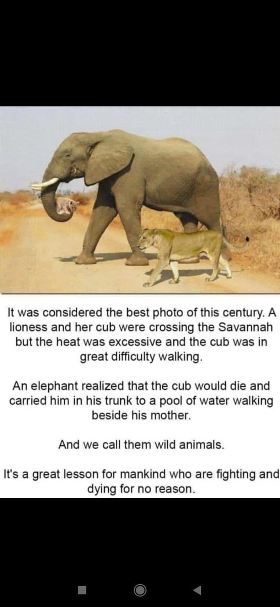 CA.Rudramurthy BV tweet media