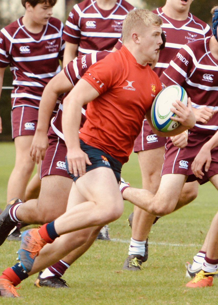 Felsted Rugby tweet media