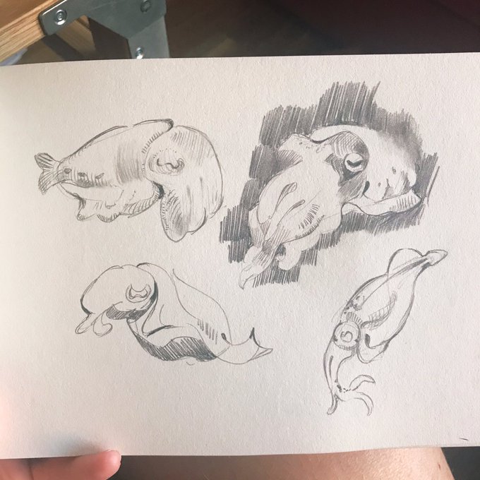 Sketchy 