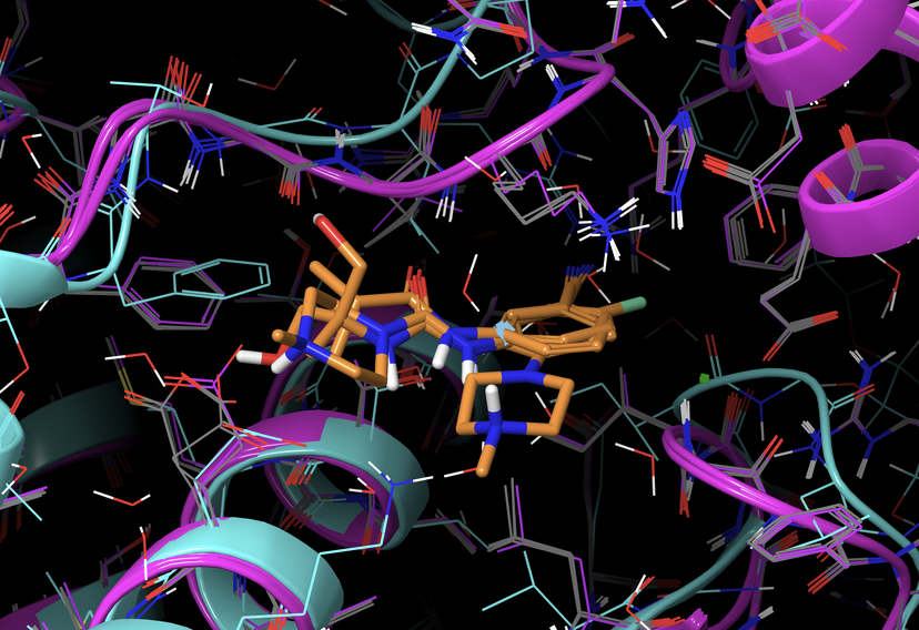 OSantibiotics tweet media