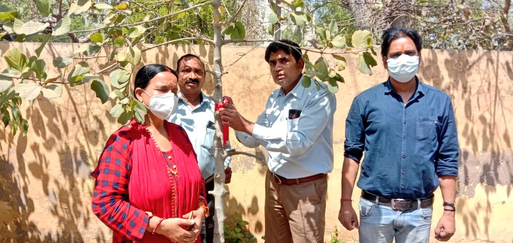 prabhatmisra's tweet photo. #AprilCoolDay by #DistrictSavingsOffice #Agra, & @DDSavingsAgra (#UttarPradesh, #India). They organised @RedTapeMovement & taken oath to work #ForNature. https://t.co/3eQKMoclQT
