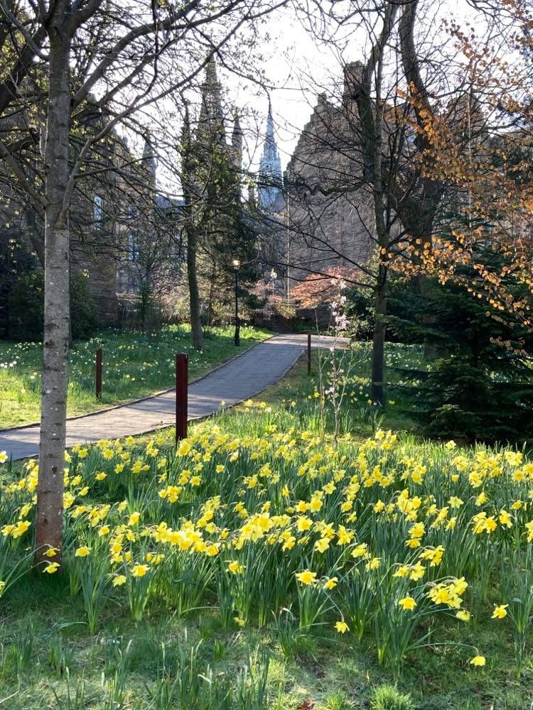 UofG School of Law (@uofglaw) on Twitter photo Spring is springing! (Just remember your winter hat!) Gorgeous views on <a href="/UofGlasgow/">University of Glasgow</a> campus this morning. Spring is springing! (Just remember your winter hat!) Gorgeous views on <a href="/UofGlasgow/">University of Glasgow</a> campus this morning.