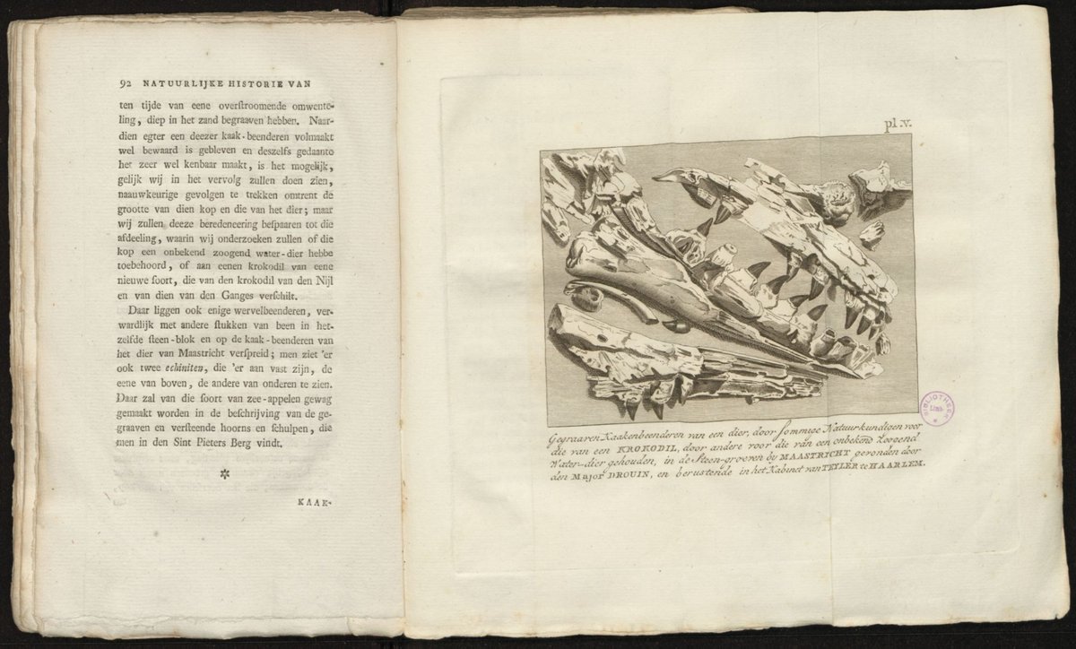 FlandricaBE's tweet photo. Reus, titaan of #aprilvis? Skeletten van dinosauriërs zorgden vroeger voor veel verwarring. Ook de geoloog Barthélemy Faujas mispakte zich in 1798 en zag een mosasaurus aan voor krokodil.
Collectie van Bibliotheek Hasselt Limburg
https://t.co/PQgSfeZKy4 https://t.co/ayeYuPRmxG