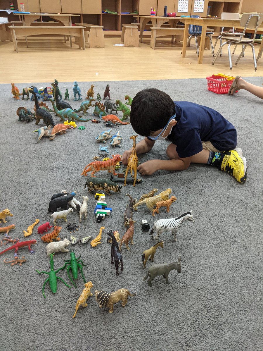 bindu_aisc's tweet photo. Here begins our science unit, 'Taking Care of the Environment'! #playbasedlearning #mindfulpay @AISCElementary https://t.co/JQaEOrupX8