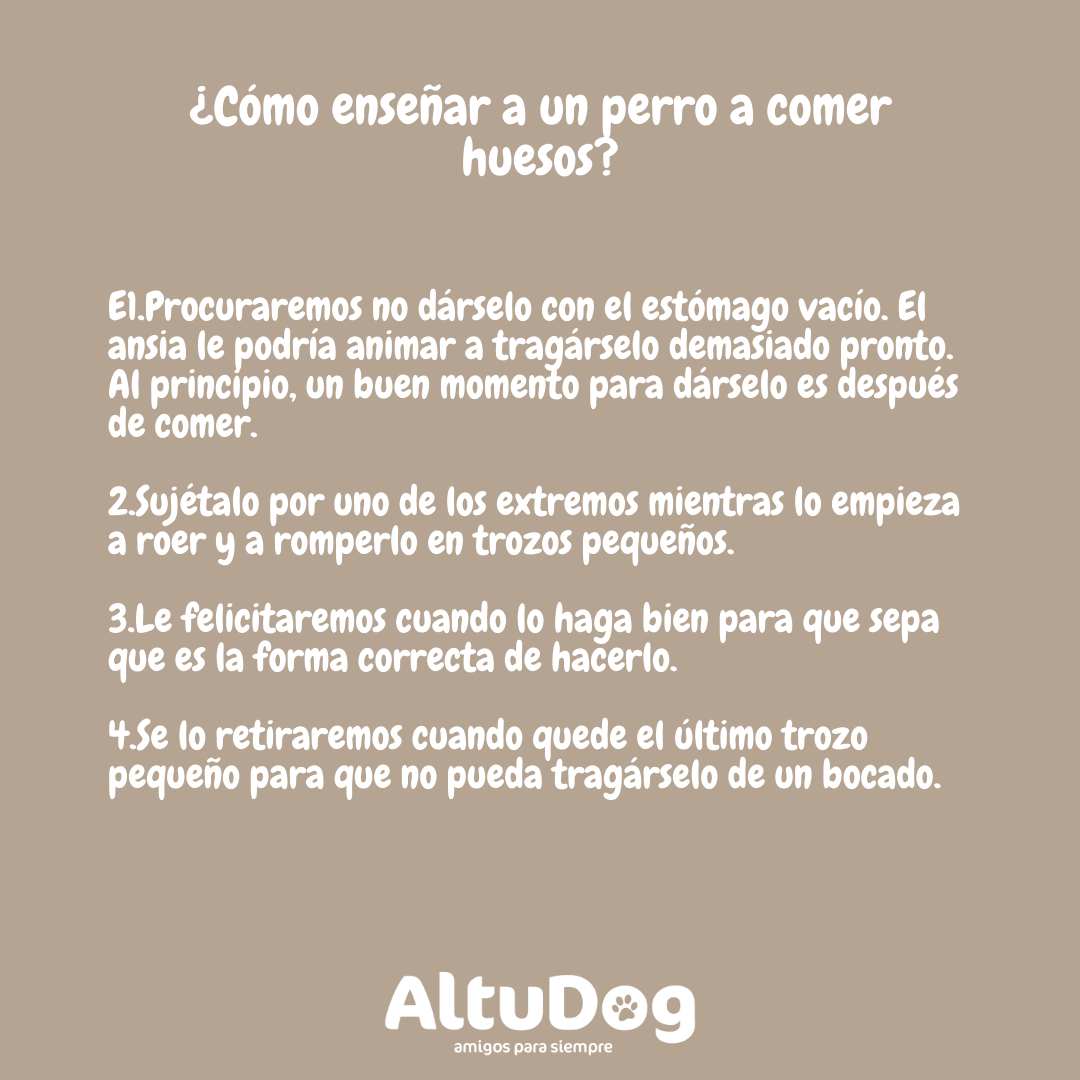 Altudog's tweet image. Aunque es cierto que a nuestros colegas peludos les encantan los huesos; no todos son buenos para ellos. Además, muchos perros no saben cómo comerlos y, es posible que tengamos que enseñarles cómo hacerlo para que pueda disfrutar de ellos. 
.
#huesos #comerhuesos #tiposdehuesos