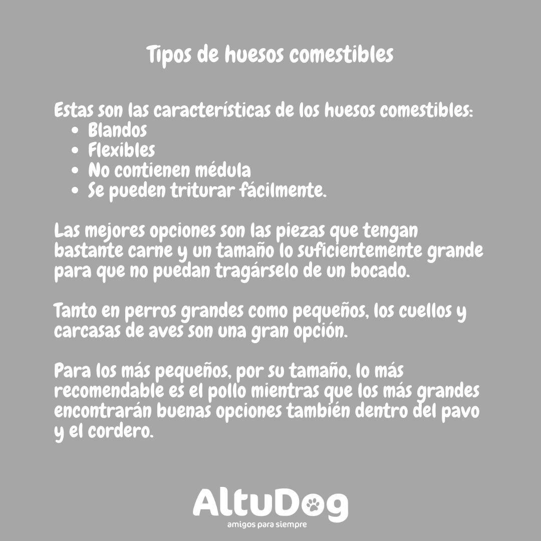 Altudog's tweet image. Aunque es cierto que a nuestros colegas peludos les encantan los huesos; no todos son buenos para ellos. Además, muchos perros no saben cómo comerlos y, es posible que tengamos que enseñarles cómo hacerlo para que pueda disfrutar de ellos. 
.
#huesos #comerhuesos #tiposdehuesos