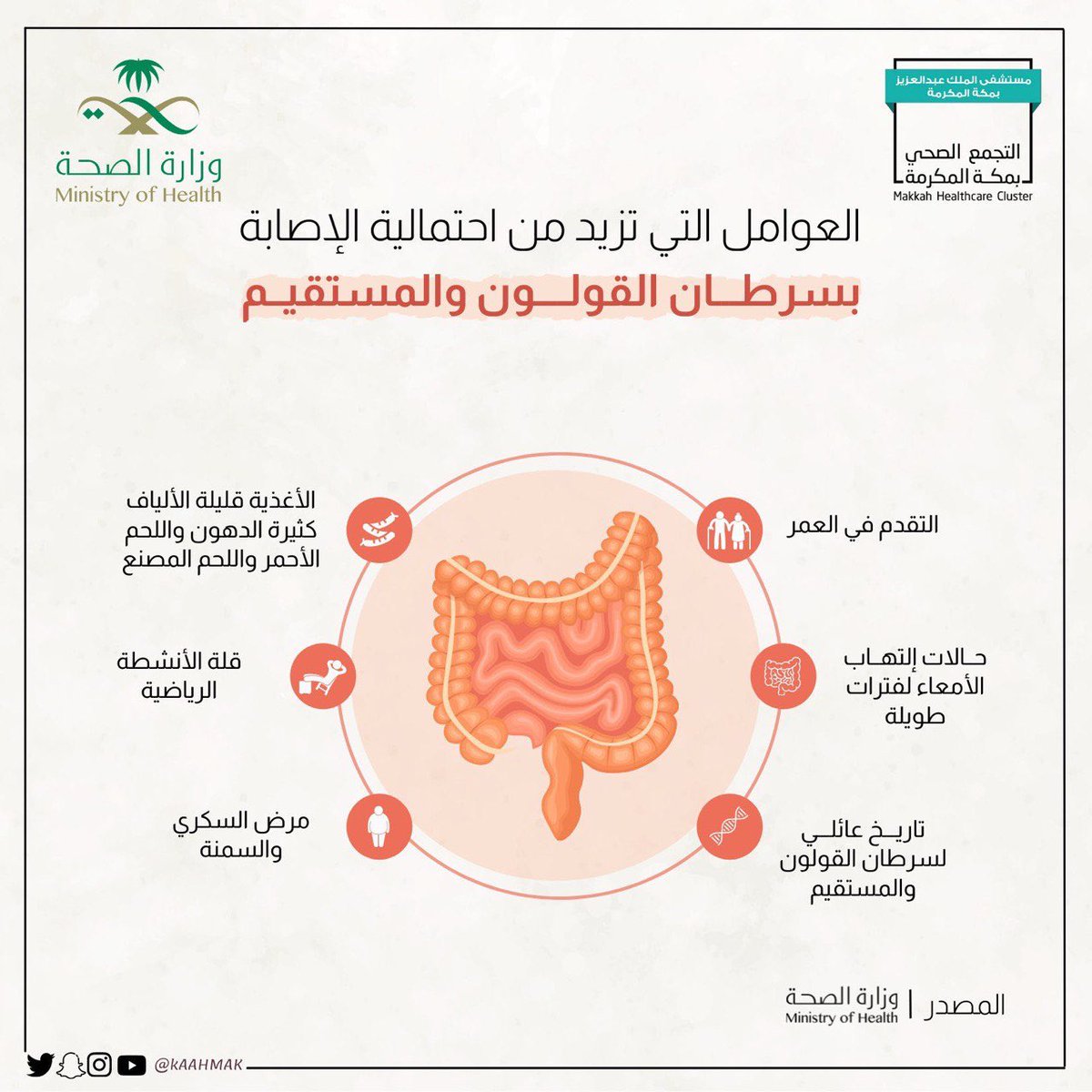 dt_reham's tweet photo. العوامل التي تزيد من احتماليه الاصابه بسرطان القولون والمستقيم 💢💢

.

.

@DietArab @Healthy_QM https://t.co/N3N29jHbKt