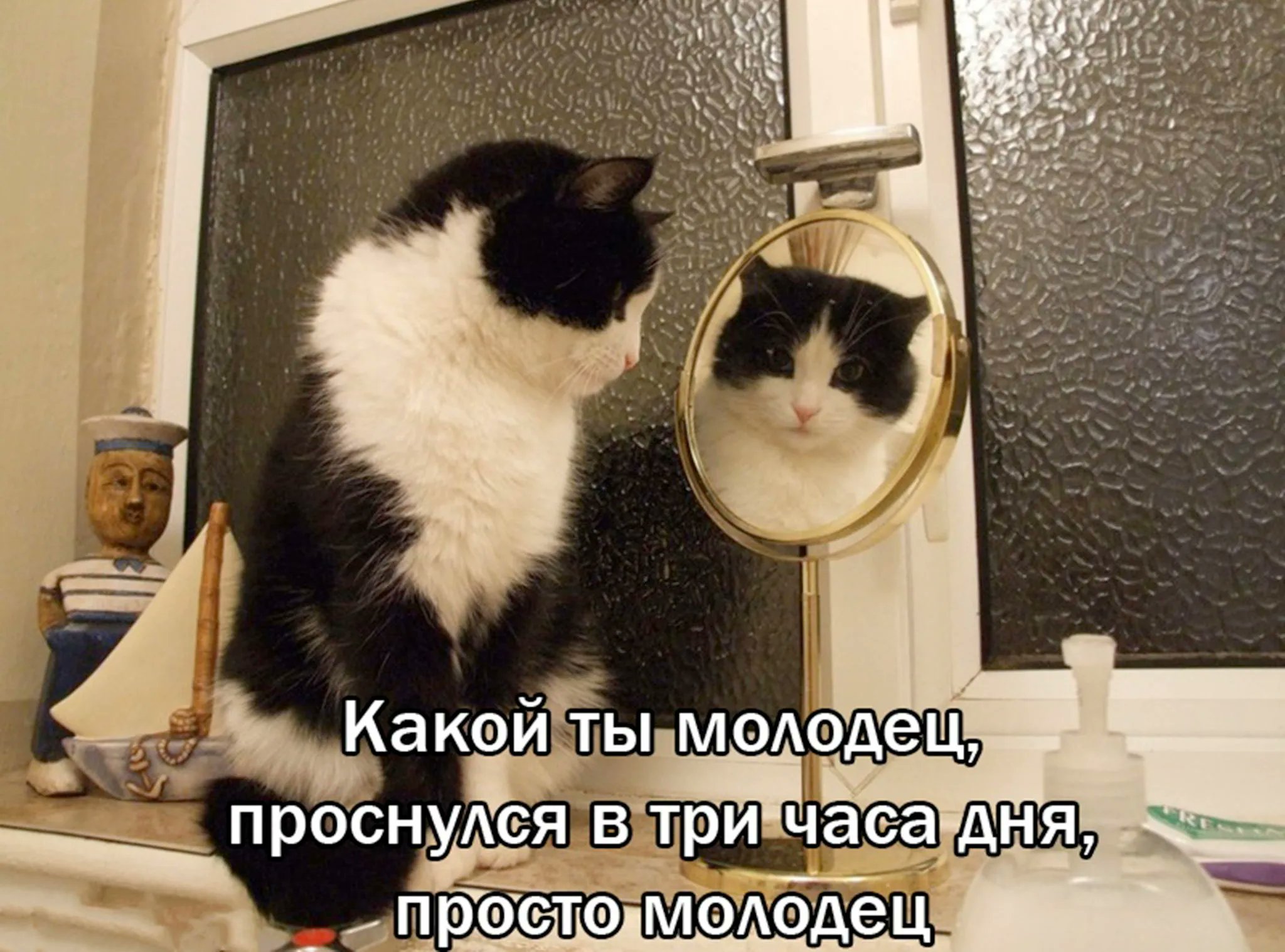 Зеркало кот