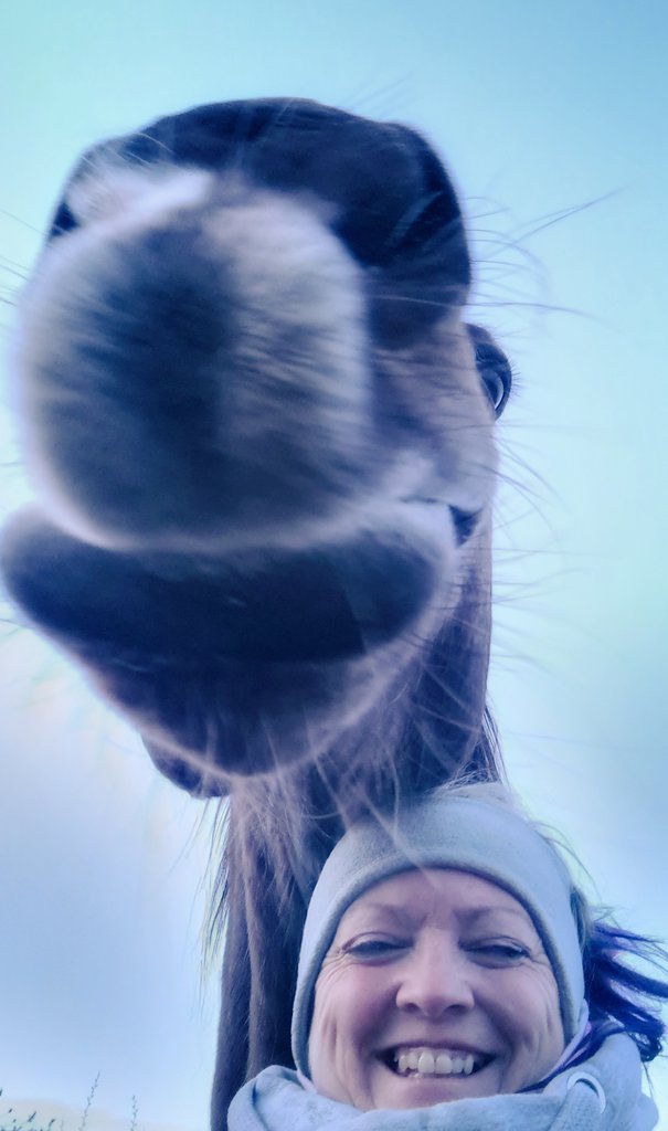 alisonwilson15's tweet photo. #FridayFeeling 😍 love this dude - he is a delinquent but makes me smile everyday 😊 he's such a #character #ThatsDunnit #FridaySelfie #selfie #ForTheLoveofHorses #EverythingEquine #whiskers  #AprilFoolsDay #1stApril #ThePhotoHour #goodmorning #looktired #NHS https://t.co/3J7u8vaB1y
