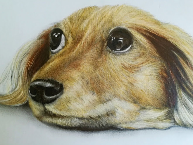 犬のtwitterイラスト作品