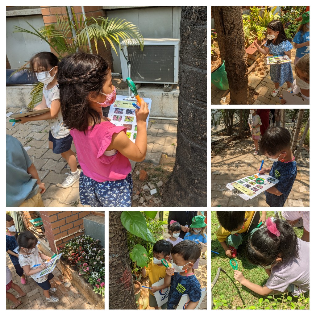 bindu_aisc's tweet photo. #naturewalk in #kindergarten as we begin our unit on 'Taking Care of the Environment'. #scientists observe, wonder and record!
@AISCElementary https://t.co/N03DwxdpAD