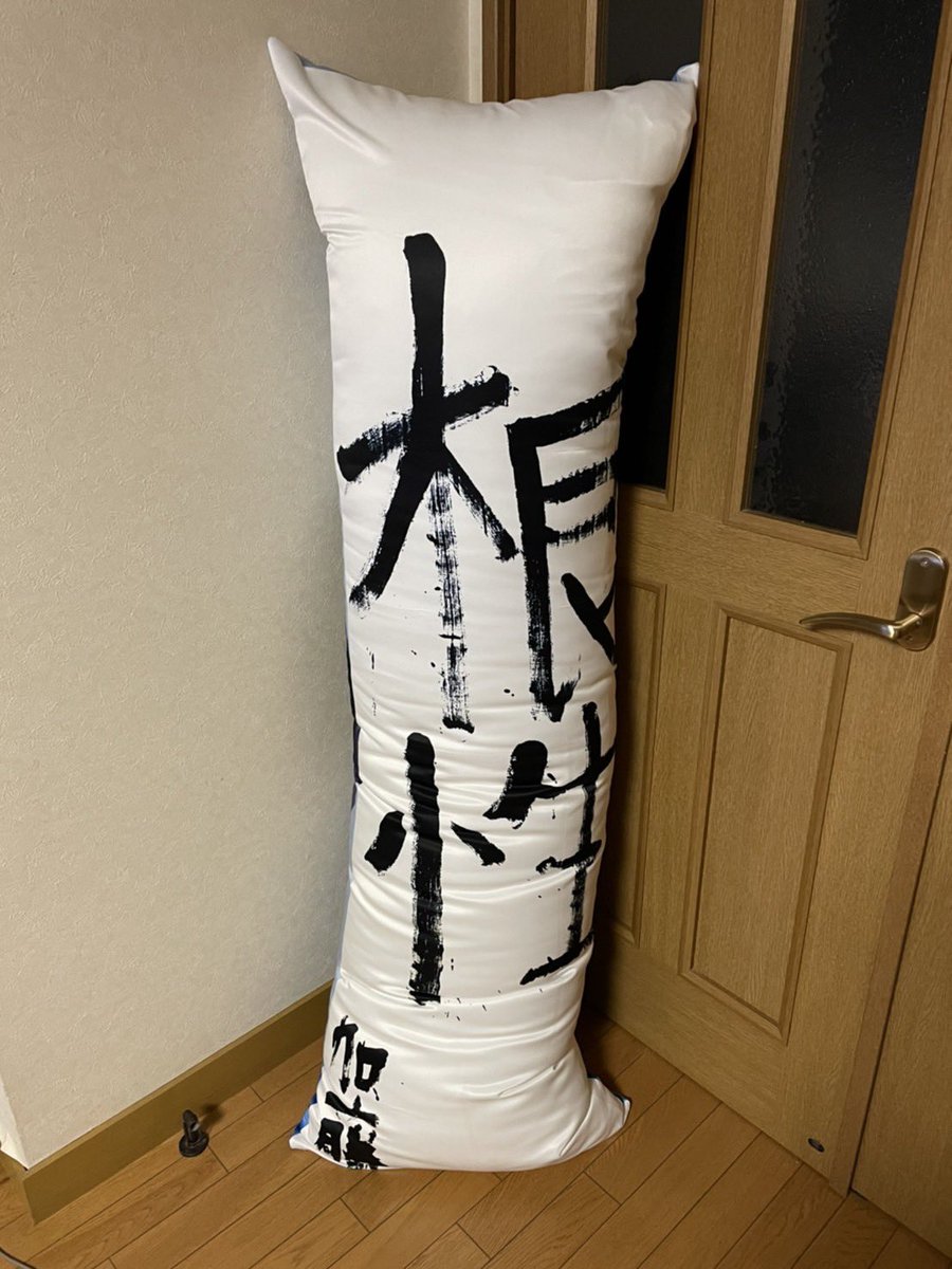 yoshiktzn's tweet photo. 第3回加藤純一アプリ王選手権の抱き枕届きました！でかい！ありがとうございます！！これからも頑張ります！根性！！！ https://t.co/fxVqNsu8NF