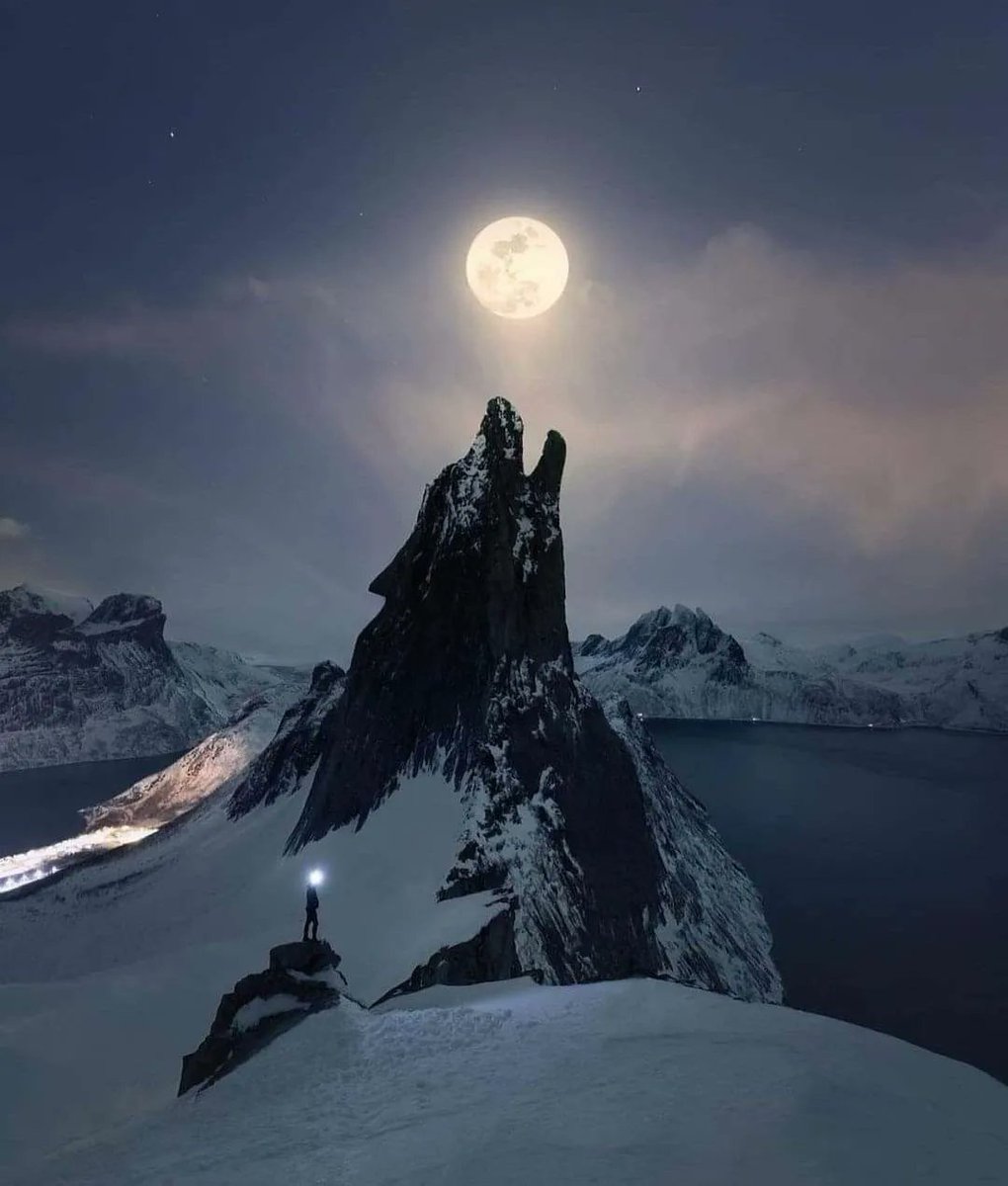 zone_astronomy's tweet photo. Norway, Senja 🐺 🌕 🏔 

📷: @michellevonkalben https://t.co/DHi09dBFxm