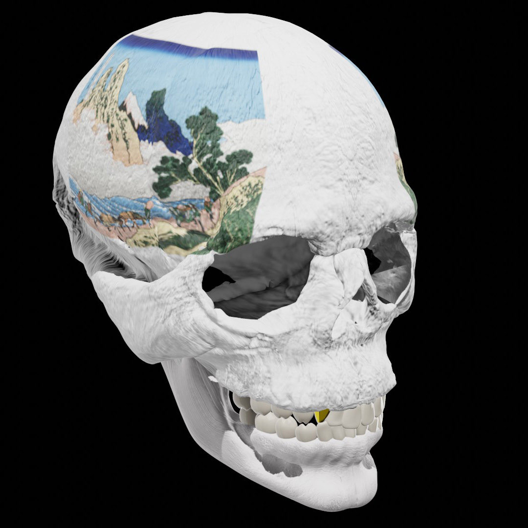 富嶽三十六景🗻　〇/46
Ukiyo-e skull made for profile picture. #NFT #opensea 

opensea.io/assets/0x495f9…