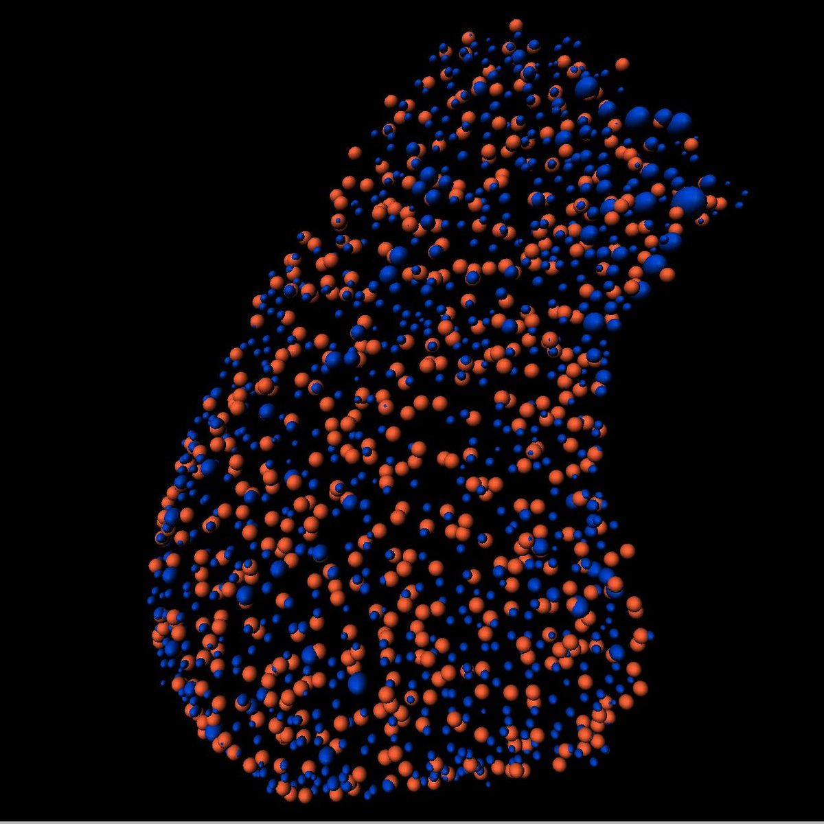 Our #SpotlightZebrafish this week is on @TalhahSalmi, who is a PhD student w/ <a href="/DrAndrewCox/">Andy Cox</a> <a href="/PeterMacRes/">Peter Mac Research</a>. Talhah examines the mechanisms by which oncogenic transcription factors reprogram metabolism to promote liver cancer using #zebrafish. For more, see cell.com/developmental-….