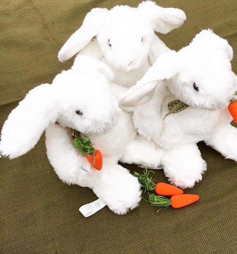 White_RabbitUK's tweet photo. White rabbits for luck everyone! 🐇🐰 It’s April 1st and with Easter on the way we are delighted to announce another *GIVEAWAY* !!

You will receive a FREE Bunny &amp; Book worth £16 when your order is £30 or more! 

*excluding bulbs and replacement electric sets

#giveaway
#freebie https://t.co/Gzo8QKqyxI