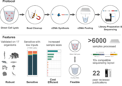 Enard/Hellmann Lab (@enardhellmannwg) on Twitter photo Our bulk RNA-seq method prime-seq is finally out in <a href="/GenomeBiology/">Genome Biology</a>! Congrats to <a href="/AleksJanjic/">Aleks Janjic</a> @le_wange and all other co-authors <a href="/chris_zie/">Christoph Ziegenhain</a> @jooanson @B_Vieth <a href="/IHellmann/">Ines Hellmann</a> <a href="/Jeremias_lab/">Jeremias Lab</a> genomebiology.biomedcentral.com/articles/10.11… Our bulk RNA-seq method prime-seq is finally out in <a href="/GenomeBiology/">Genome Biology</a>! Congrats to <a href="/AleksJanjic/">Aleks Janjic</a> @le_wange and all other co-authors <a href="/chris_zie/">Christoph Ziegenhain</a> @jooanson @B_Vieth <a href="/IHellmann/">Ines Hellmann</a> <a href="/Jeremias_lab/">Jeremias Lab</a> genomebiology.biomedcentral.com/articles/10.11…