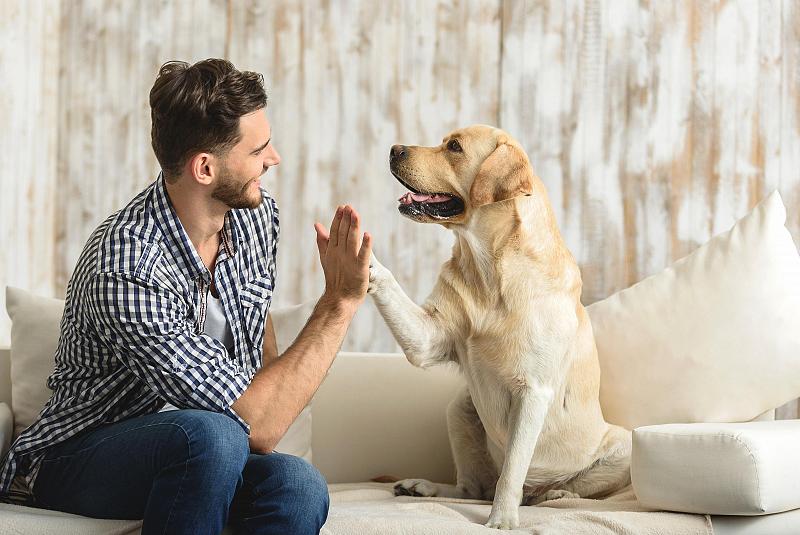 Chestertons's tweet photo. Happy #NationalPetMonth! As London's most #petfriendly estate agents, we help thousands of #petowners each year find suitable properties to rent ๐ถ๐ฑ๐๐ ๐ข
Thinking of moving? Find your pawfect home here๐ https://t.co/BAIrRa4BoO
#Landlords #Tenants #Renting #Pets #LetsWithPets https://t.co/OiuOAPSMOd