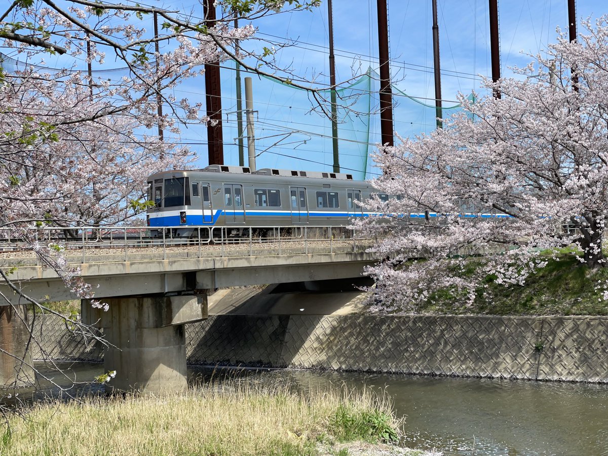 2019JGC4's tweet photo. 🌸🚃 https://t.co/bL6TjrPqUM