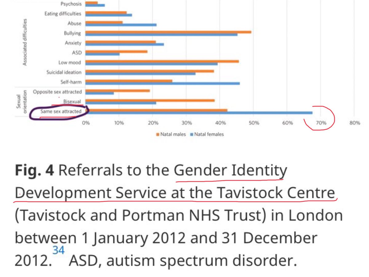 STILLTish's tweet photo. @maedaym43day @SandyG678 @MForstater Er…These are the stats at the main U.K. Gender Clinic. Do you see the problem? Telling our perfectly healthy gay kids they are #BornWrong is not a civil rights issue it’s a medical atrocity. Do some research. You are being manipulated. https://t.co/iBDblD9eNN