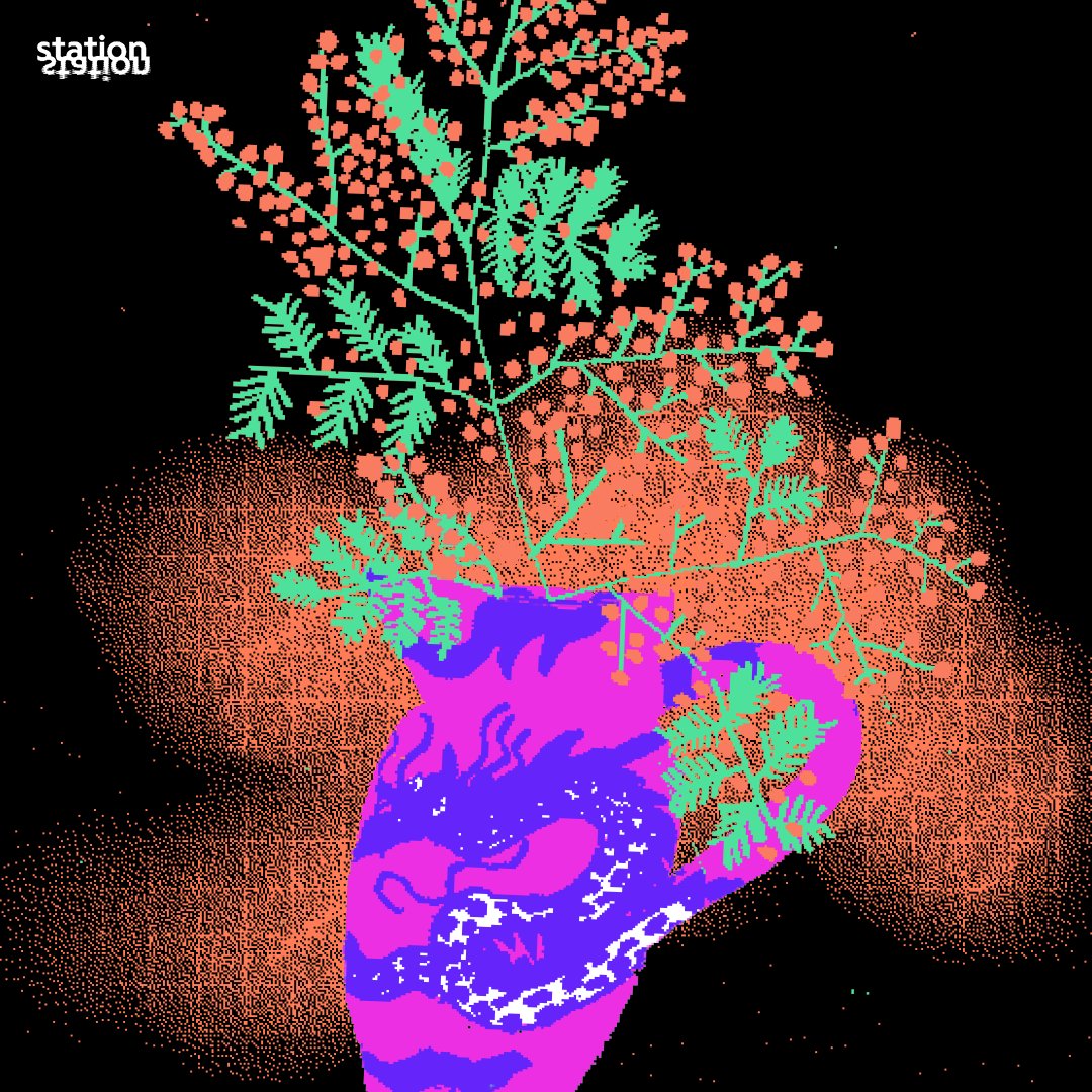 Station Station tweet media