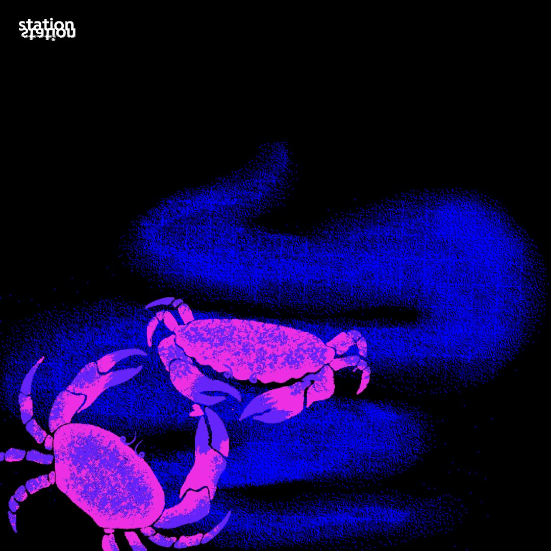 Station Station tweet media