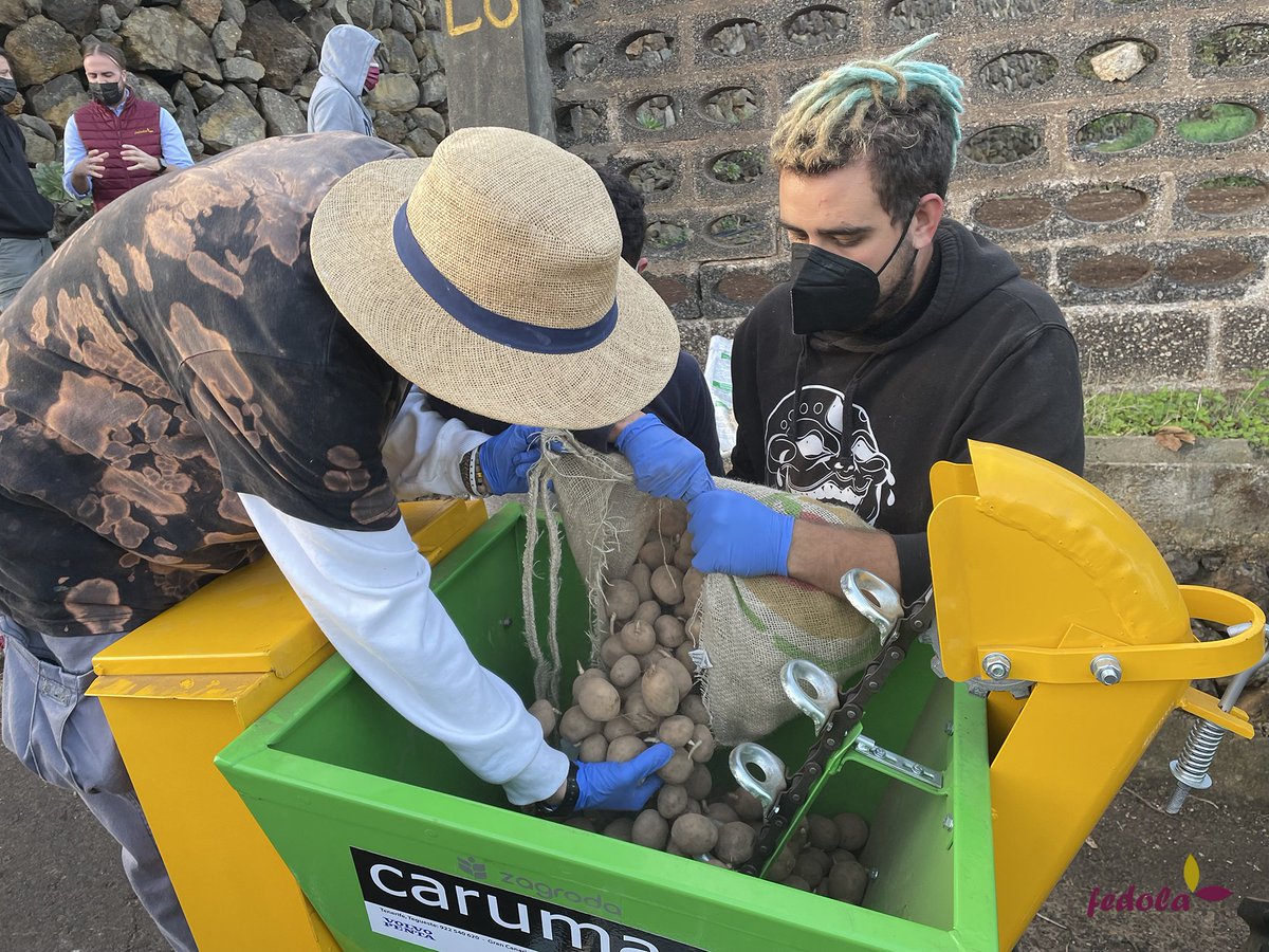 4ª parada #CamposdeensayoFedola202: #EscueladeCapacitaciónAgrariadeTacoronte

Los alumnos de 2º de CFGM de Producción Agropecuaria serán los encargados de completar este ciclo de #camposdeensayos con la #variedadKingsman en los terrenos de la Escuela en #Tacoronte.

#Fedolapapas